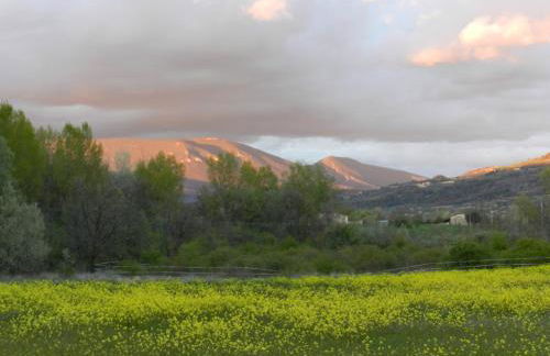 Maison d'artiste - Foto 8