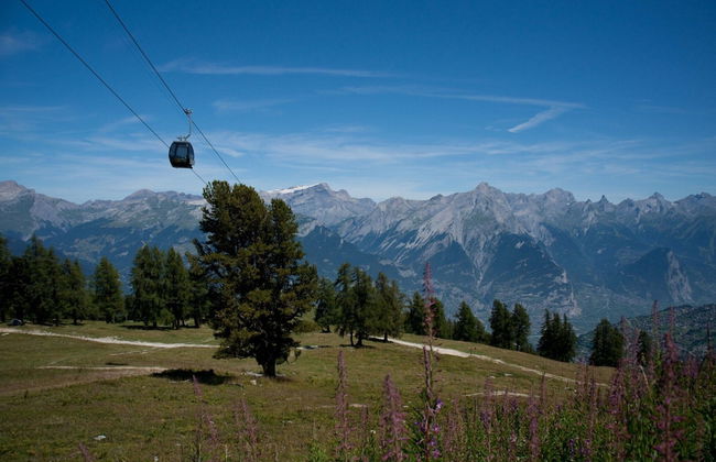 Apartment in Veysonnaz Near Ski Gondola - Foto 34