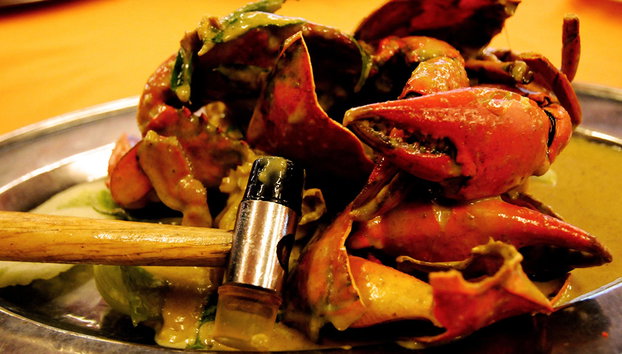 Le ballet des lucioles autour Kuala Selangor - Photo 4