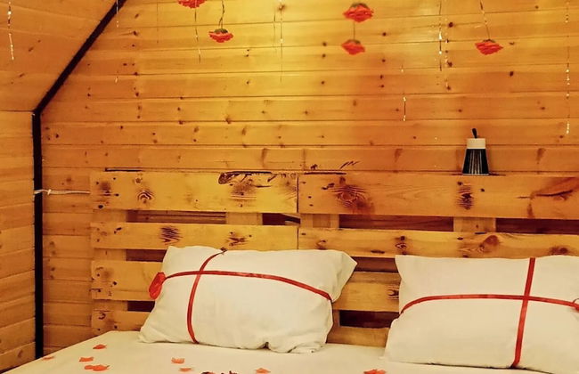 orchid huts - Photo 7