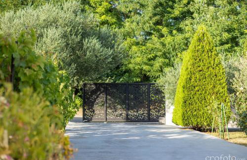 Grandfather's House - Photo 55