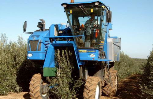 Monte Da Serralheira Agro Turismo - Foto 21