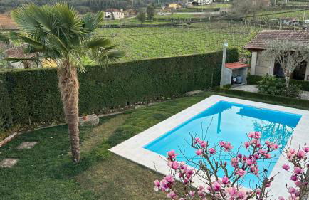 Casa da Tia Palmira - Foto 34