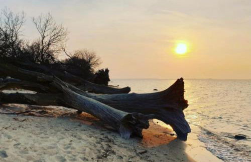 Lenis Strandhaus - Foto 17