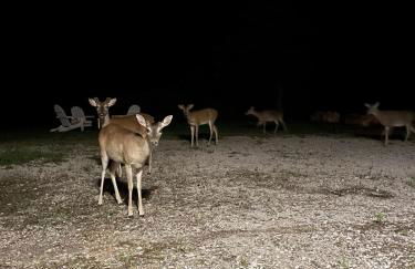 Waterfront Lake House on Lake LBJ - Foto 30