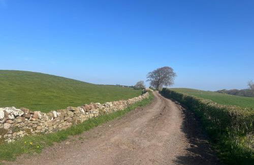 Couples Retreat Cosy Modern Cottage ,Near Carlisle, the Borders and the Pennines , near village pub & in peaceful village location - Foto 12