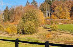 Ferienwohnung A&P - Foto 19