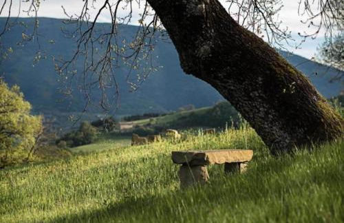 Apartment in Umbria With Garden - Photo 57