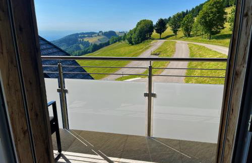 View House, Schauinsland, Black Forest - Photo 23