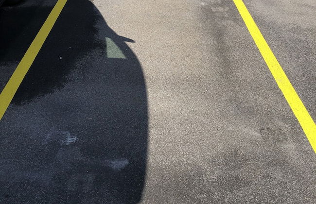 Amazing Studio In Lausanne Close To Epfl and Unil - Photo 13