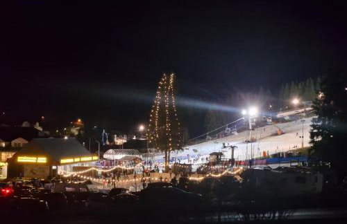 Czarna Góra Apartament 319 - Foto 51