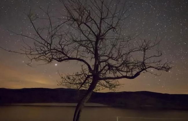 El Rincon de Palmacio - Foto 34