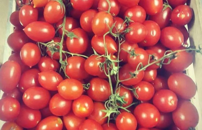 La Magione del Capitano - Foto 21