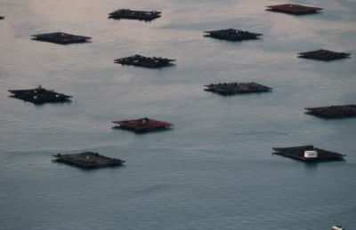 A casa da panadeira - Foto 43