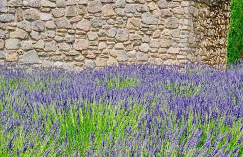 maison bertuli Oliviers Aircon, heated saltwater Pool, 2 Bedrooms - Foto 38