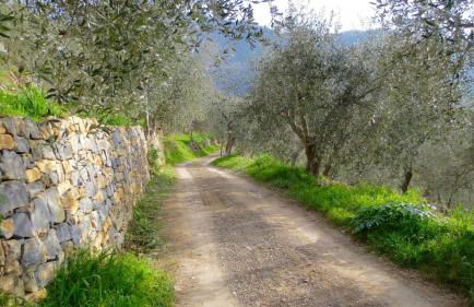 Country House With Big Garden - Photo 37