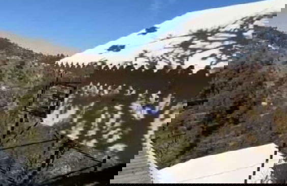 Pine pioneer the eco resort - Foto 12