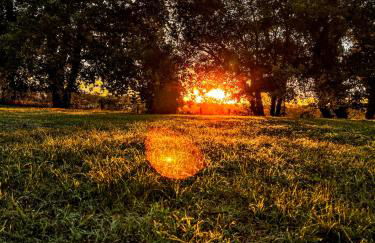 "L'or et des Landes" - 6 personnes - 5 minutes centre équestre et 10 minutes de Nérac - Foto 24