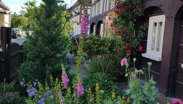 Auf-der-Muehlwiese - Foto 4