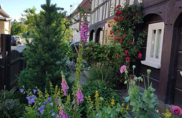 Auf-der-Muehlwiese - Foto 4