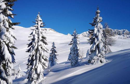 Happy Bolbeno House CIPAT: 022239-AT-814829 - Foto 18