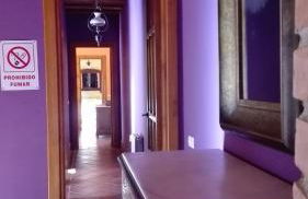 Ala Mexicana - Foto 8