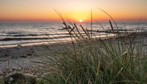 Strandperle Appartements - Foto 2