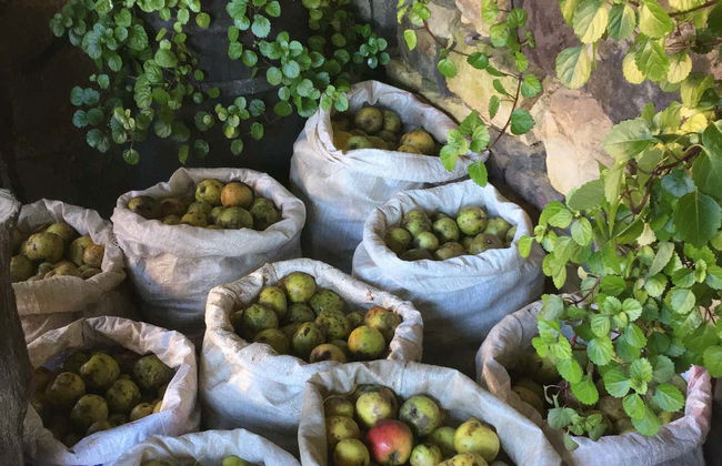 Visita al llagar de sidra del Mirador de Miranda - Photo 5