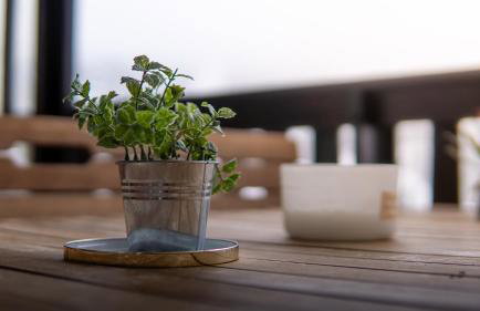 Les Fougères - Foto 37