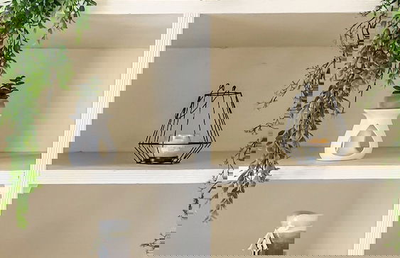 Apartamentos Estilo Republicano - Centro - Photo 31