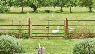 Apple Tree Cottage - Foto 3