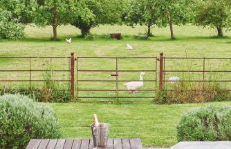 Apple Tree Cottage - Foto 3