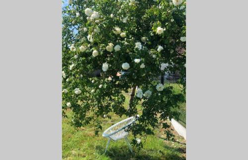 Cottage l'Echappée Belle - Foto 12