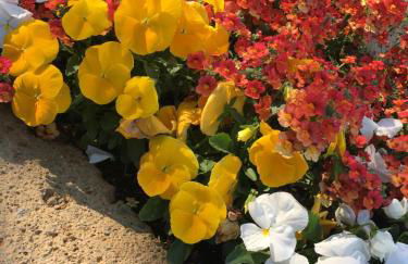 Residenza Eden - Foto 39