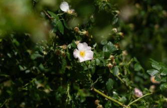 Casa Il Nocciolo - Foto 49