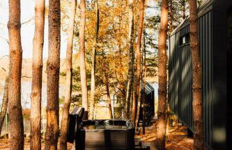 Między Drzewami - Foto 33