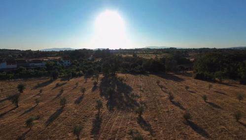 Quinta da Mouracha - Foto 4