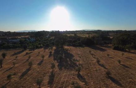 Quinta da Mouracha - Foto 4