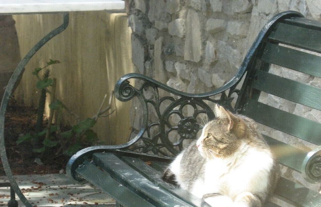 Porto Castello Villas Porto Fino Studio - Photo 25