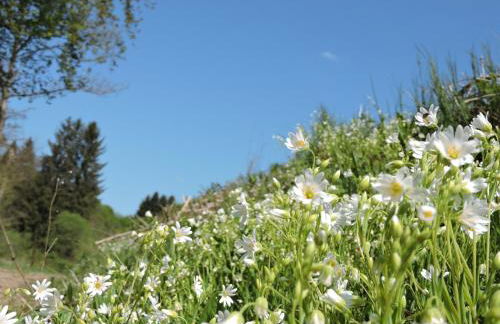 Seveniger Mühle - Foto 12