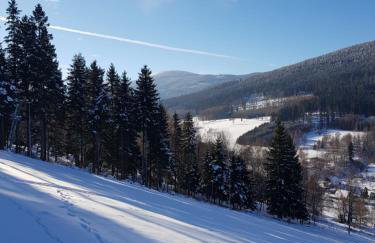 Chata Rafusa pod Śnieżnikiem - Foto 33