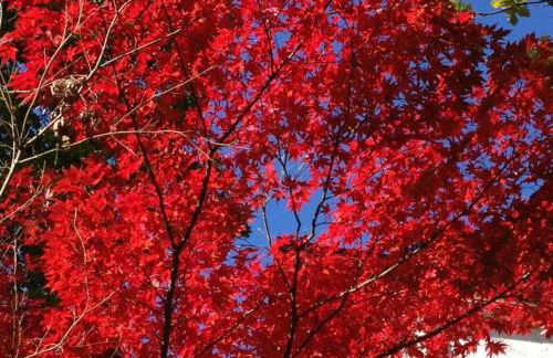 Süderhof Apartment 2 - Foto 19