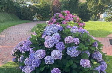 Haus Amanda - Photo 21