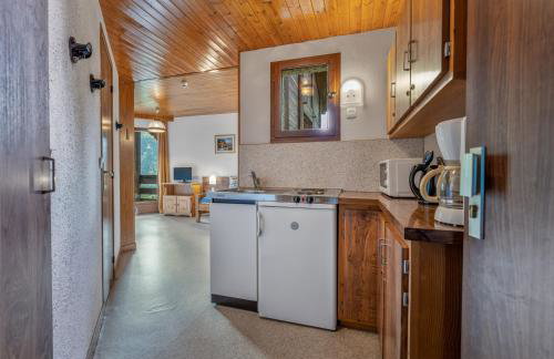 Chalet les arolles - Foto 54