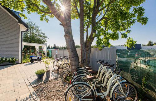 Niebieski Kamyk - Foto 41