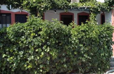 Studios Irineos - Foto 23