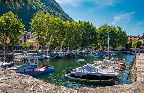 Labiena Lake Maggiore - Foto 44