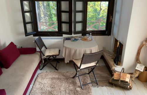 Pelion 7 Lives - Foto 13