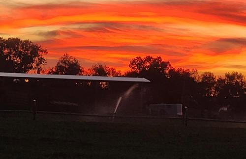 The Elevated Retreat - Foto 2