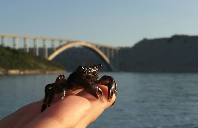 Apartment Nadalina - Foto 19